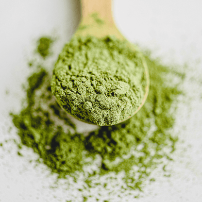 Premium Bio-Matcha - Grüntee aus Japan